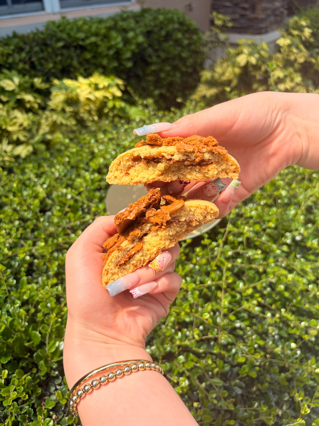 biscoff cookies
