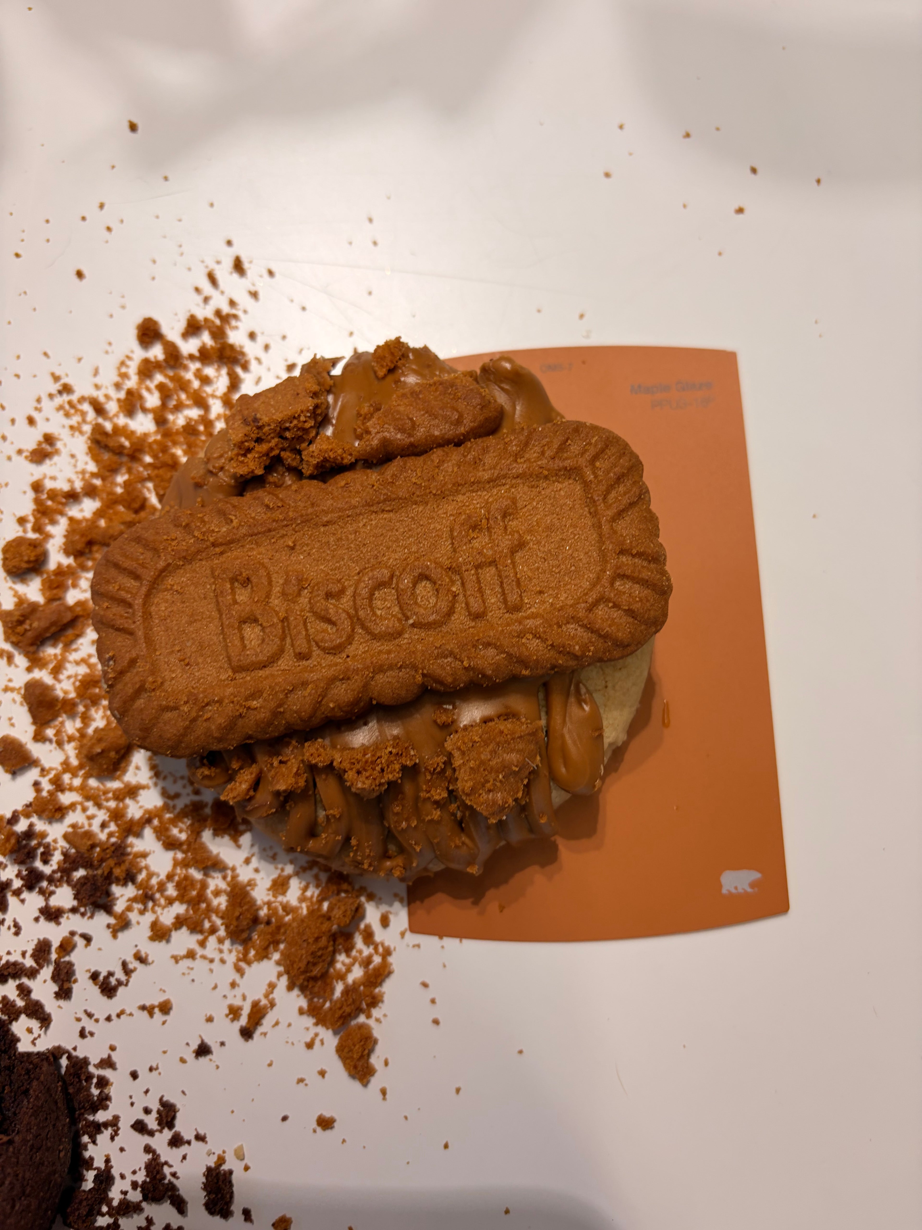 cookie sample box