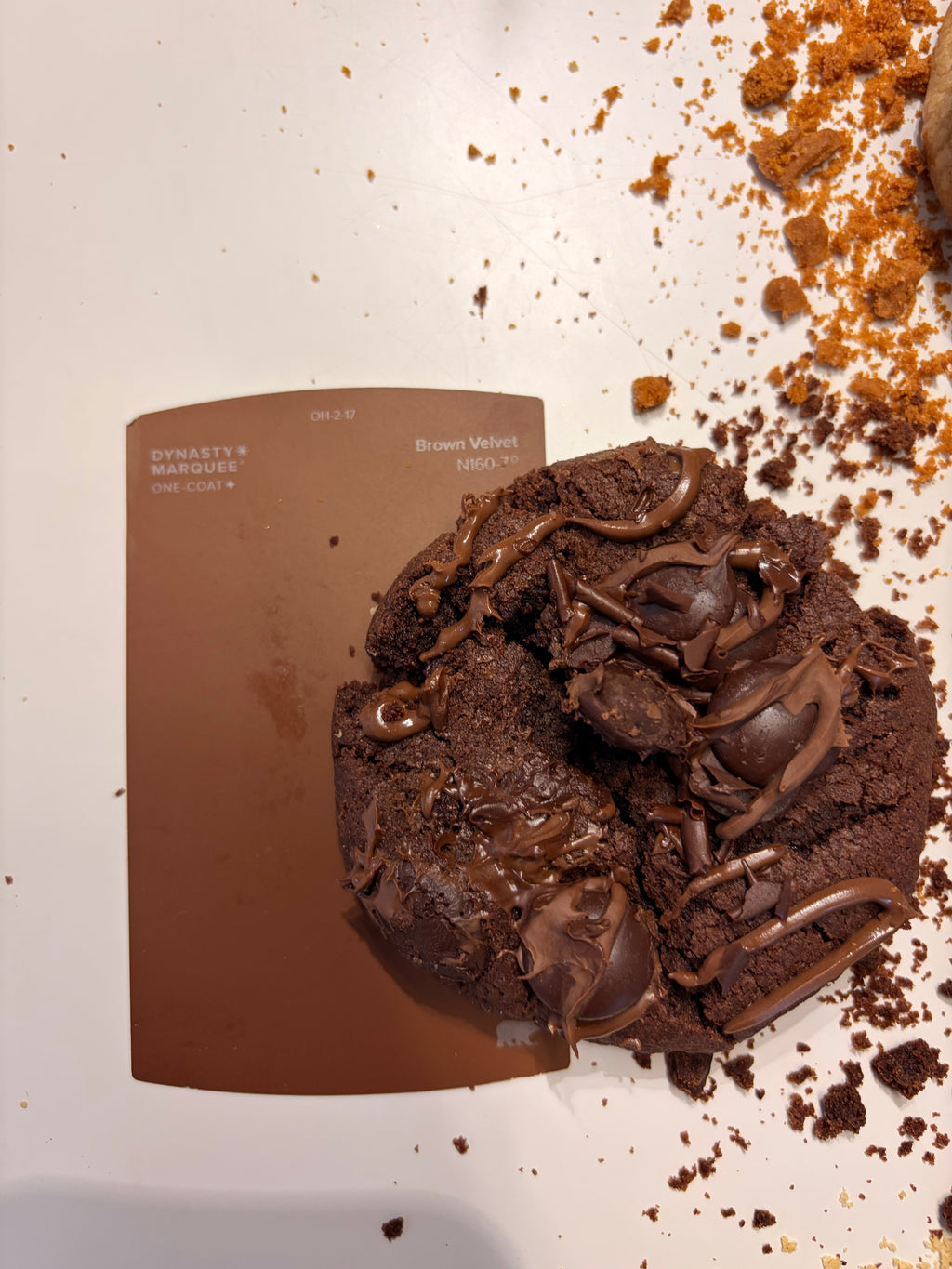 cookie sample box
